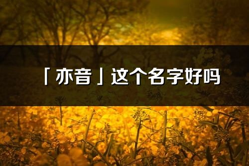 「亦音」这个名字好吗