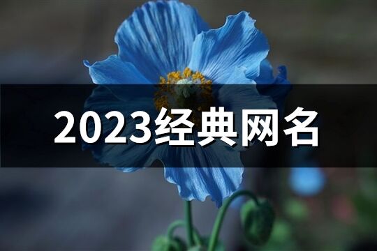 2023经典网名(精选1373个)