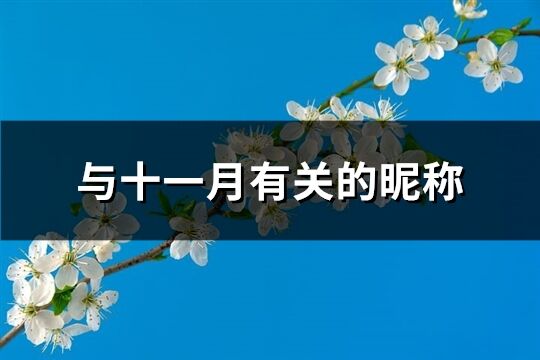 与十一月有关的昵称(共91个)