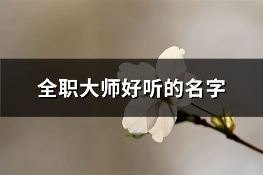 全职大师好听的名字(247个)