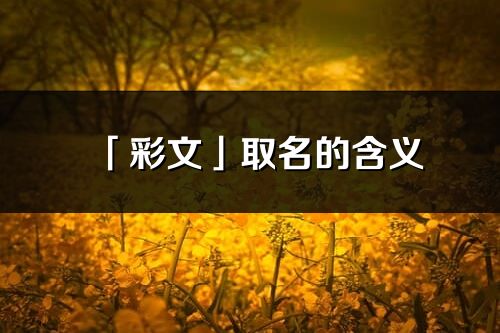 「彩文」取名的含义