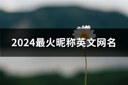 2024最火昵称英文网名(443个)