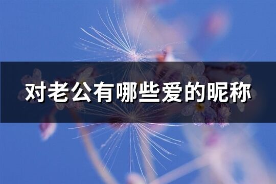 对老公有哪些爱的昵称(精选64个)