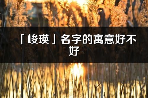 「峻瑛」名字的寓意好不好