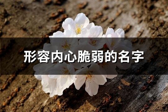 形容内心脆弱的名字(精选161个)