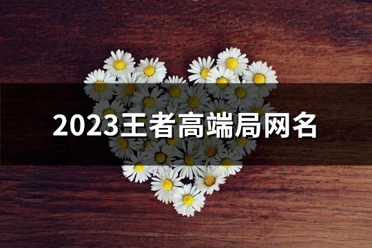 2023王者高端局网名(优选399个)