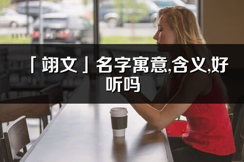 「翊文」名字寓意,含义,好听吗