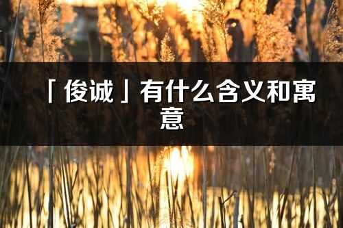 「俊诚」有什么含义和寓意