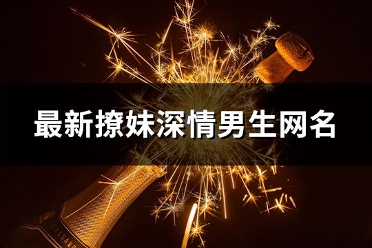 最新撩妹深情男生网名(精选532个)