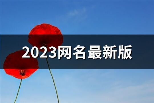 2023网名最新版(优选1357个)