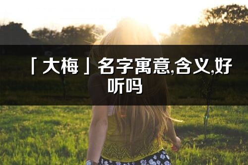 「大梅」名字寓意,含义,好听吗_大梅名字分析打分