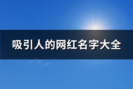 吸引人的网红名字大全(优选105个)