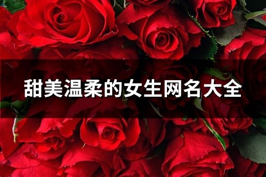 甜美温柔的女生网名大全(171个)