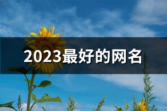 2023最好的网名(优选2661个)