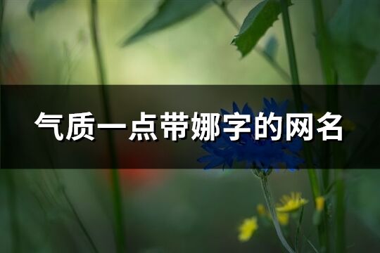 气质一点带娜字的网名(83个)