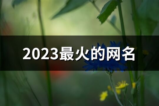 2023最火的网名(共1073个)