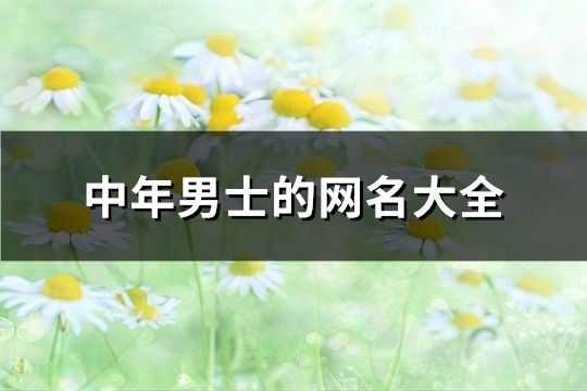 中年男士的网名大全(精选890个)