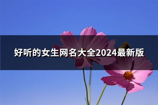 好听的女生网名大全2024最新版(171个)