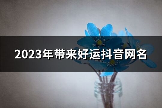 2023年带来好运抖音网名(共1126个)