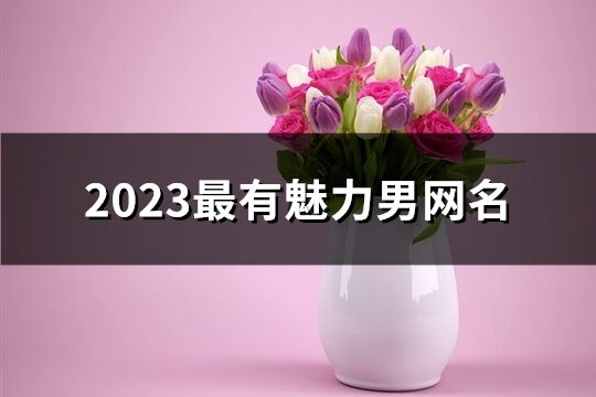 2023最有魅力男网名(共515个)