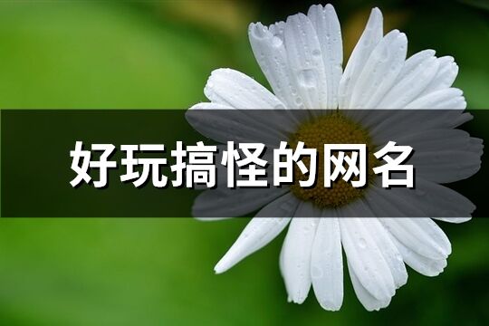 好玩搞怪的网名(共76个)