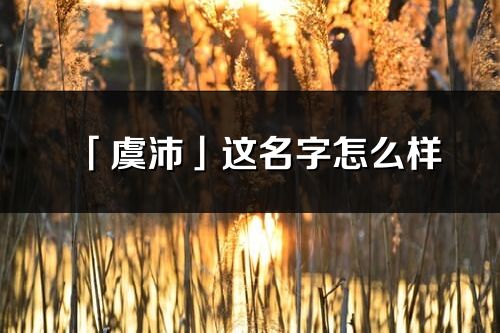 「虞沛」这名字怎么样