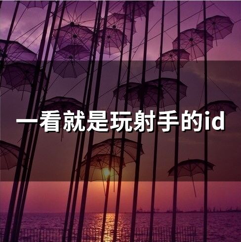 一看就是玩射手的id(精选201个)