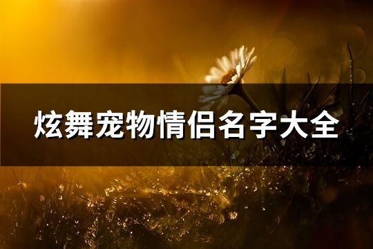 炫舞宠物情侣名字大全(95个)