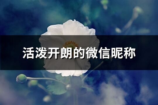 活泼开朗的微信昵称(共180个)