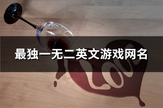 最独一无二英文游戏网名(共524个)