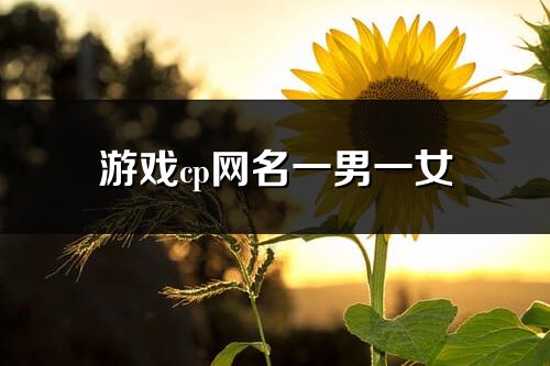 游戏cp网名一男一女(优选290个)