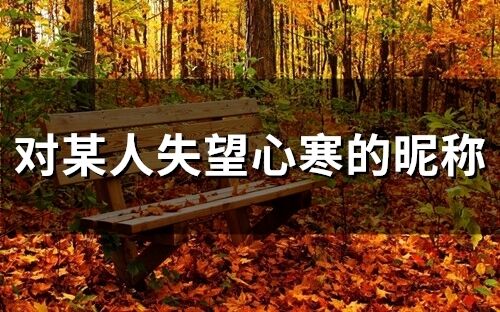 对某人失望心寒的昵称(179个)