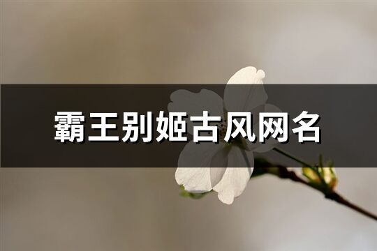 霸王别姬古风网名(419个)