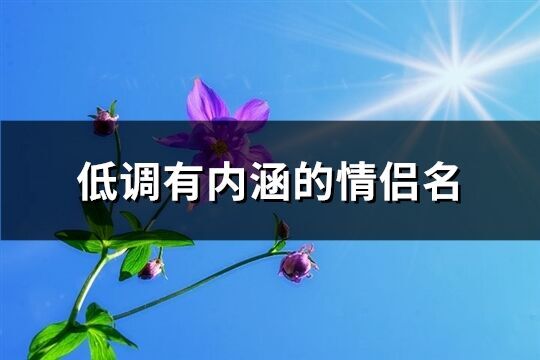 低调有内涵的情侣名(121个)