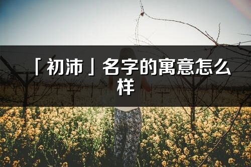 「初沛」名字的寓意怎么样