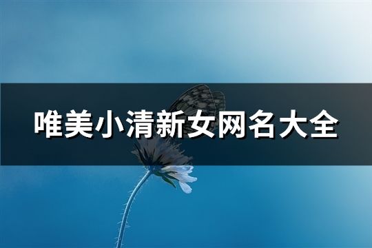 唯美小清新女网名大全(154个)