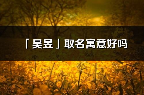 「昊昱」取名寓意好吗_昊昱名字含义及寓意