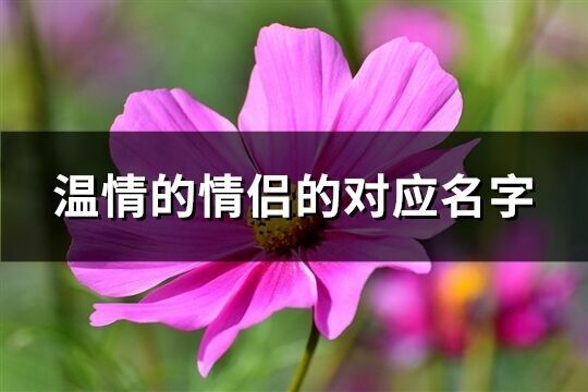 温情的情侣的对应名字(优选311个)