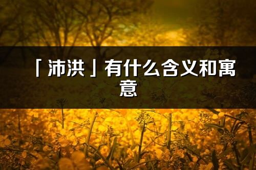 「沛洪」有什么含义和寓意