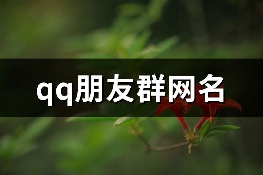 qq朋友群网名(精选141个)