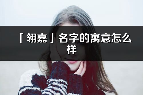 「翎嘉」名字的寓意怎么样