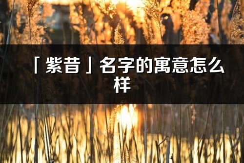 「紫昔」名字的寓意怎么样