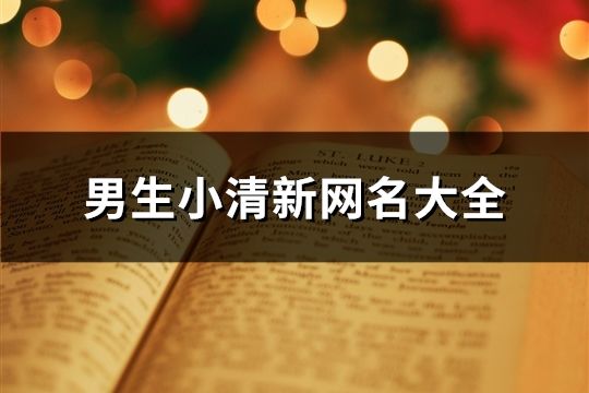 男生小清新网名大全(89个)