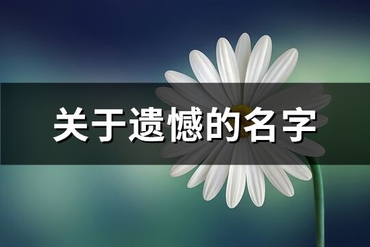 关于遗憾的名字(精选309个)