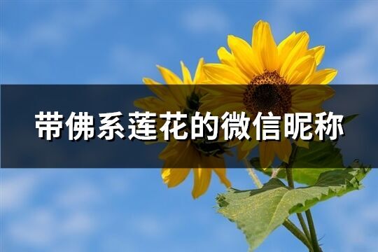 带佛系莲花的微信昵称(共82个)