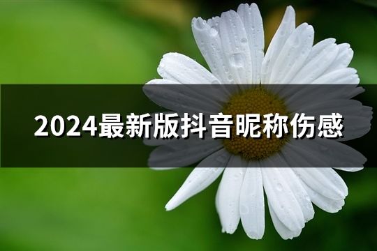 2024最新版抖音昵称伤感(共48个)