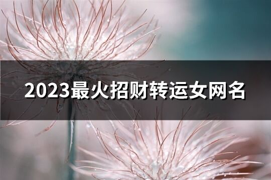 2023最火招财转运女网名(1000；个)