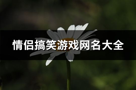 情侣搞笑游戏网名大全(精选84个)