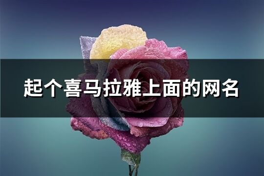 起个喜马拉雅上面的网名(共255个)