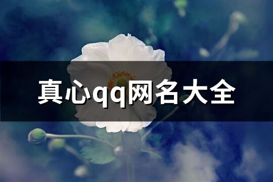 真心qq网名大全(精选433个)